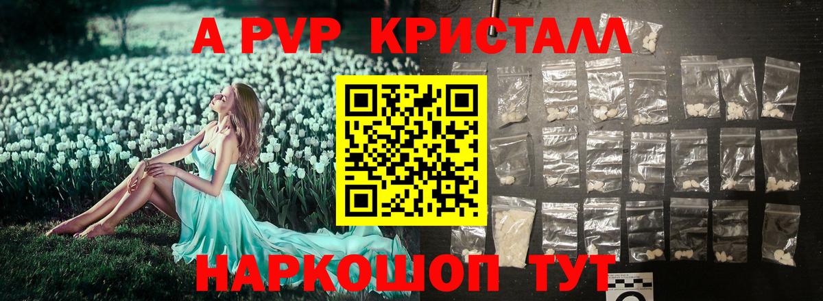 Альфа ПВП СК Астрахань