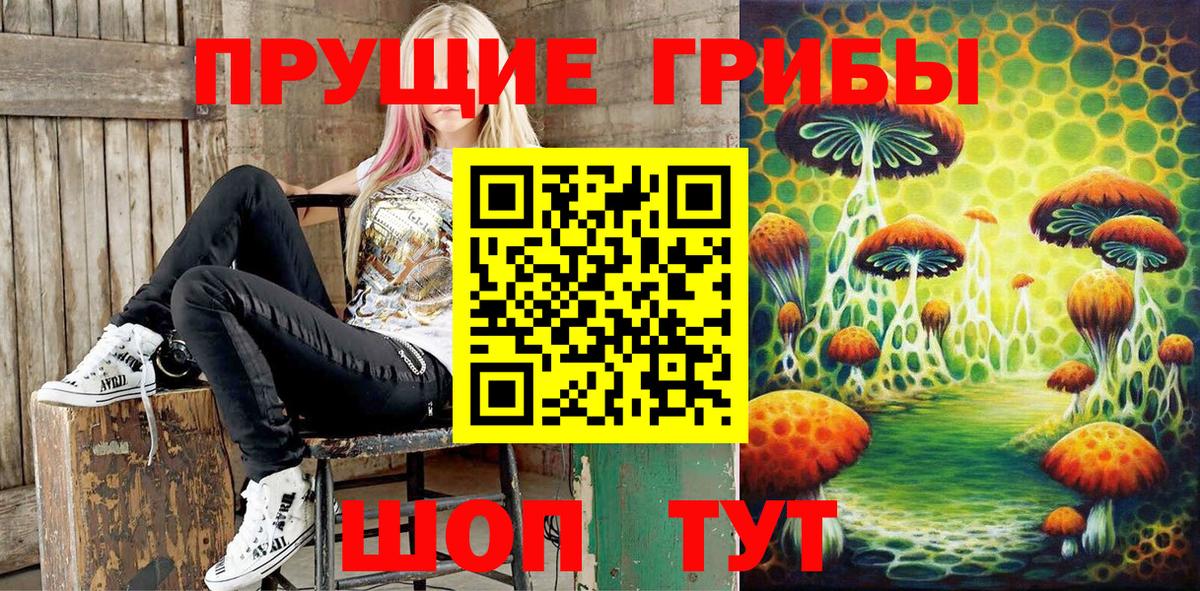 Галлюциногенные грибы GOLDEN TEACHER  Вход с VPN  как найти закладки  Астрахань 