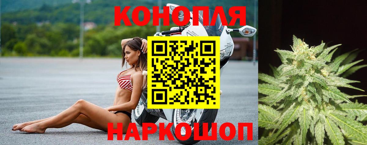 Каннабис индика Астрахань